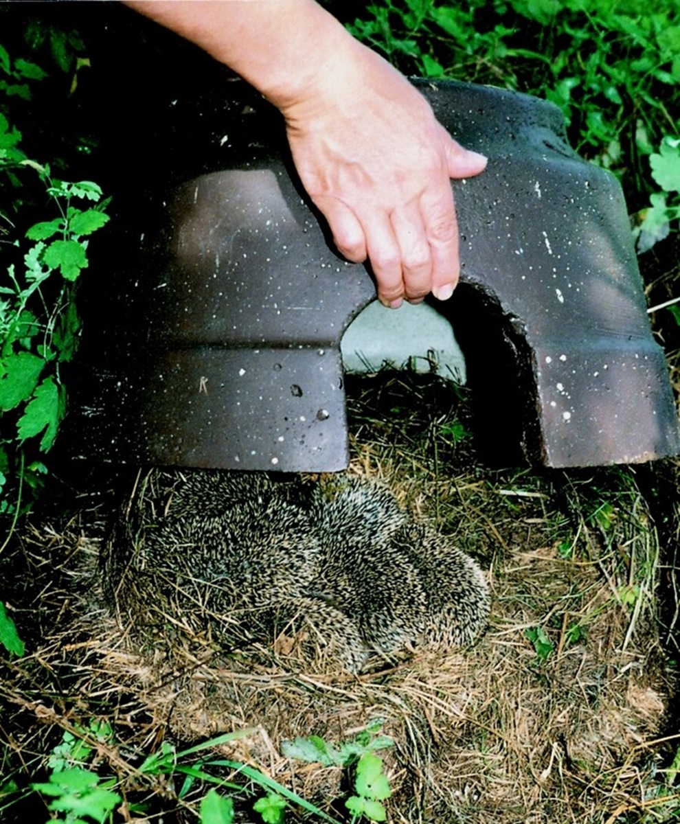 Naturschutzprodukt Igelkuppel mit Isolierboden H 30,5 cm ganzjähriges Quartier aus Holzbeton