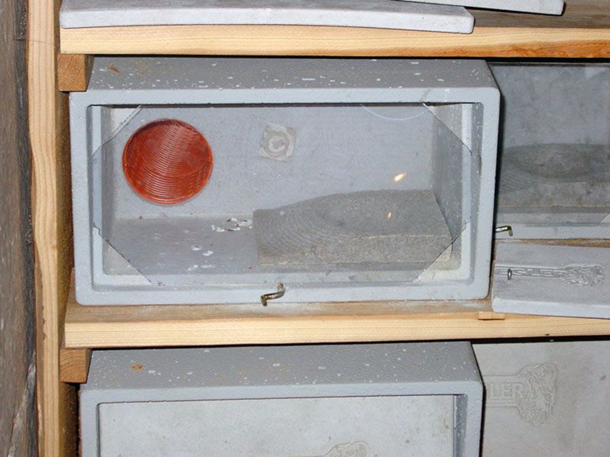 Naturschutzprodukt Mauersegler-Beobachtungskasten Nr. 14 mit Grundkasten, Laufrohr, Nistmulde