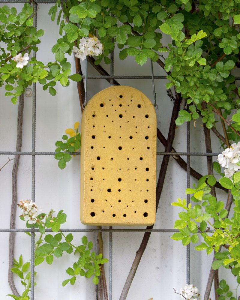 Naturschutzprodukt Satz 2 Stück Insektennistblock aus Holzbeton Insektenhotel Artenschutz Produkt