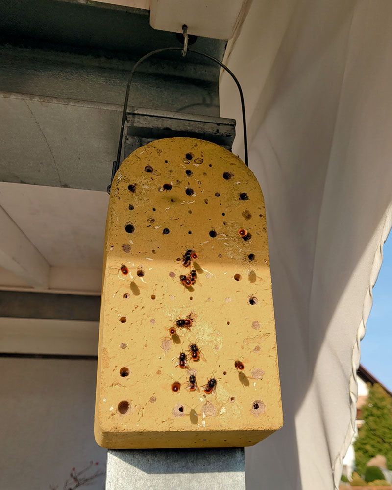 Naturschutzprodukt Satz 2 Stück Insektennistblock aus Holzbeton Insektenhotel Artenschutz Produkt