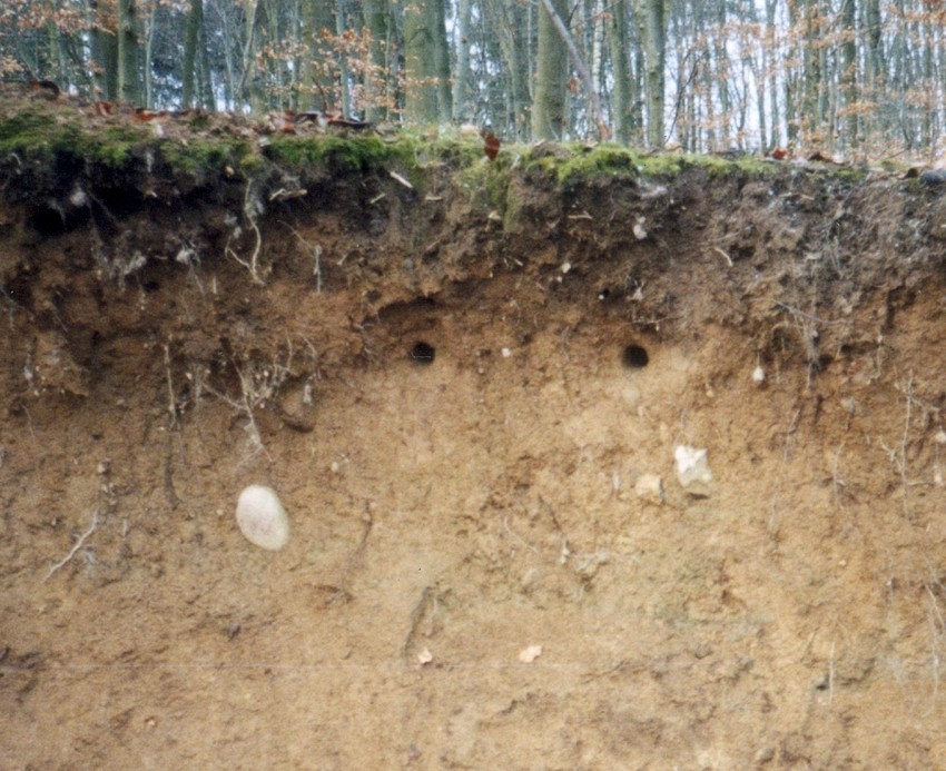 Naturschutzprodukt Satz 2 Stück Eisvogel- und Uferschwalbenbrutröhre Artenschutz Produkt
