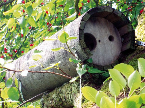 Naturschutzprodukt Satz 2 Stück Steinkauzröhre Typ 20A mit Marderschutz