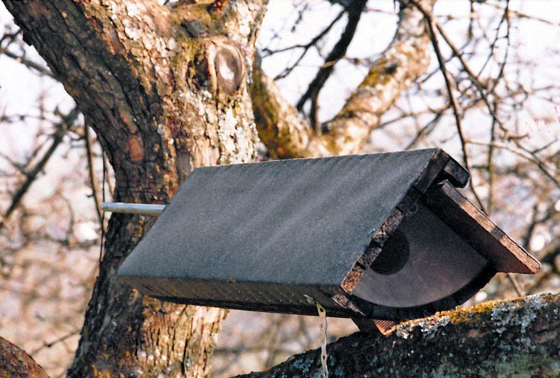 Naturschutzprodukt Satz 2 Stück Steinkauzröhre Typ 22 (Schaukelröhre) Flugloch 64 mm