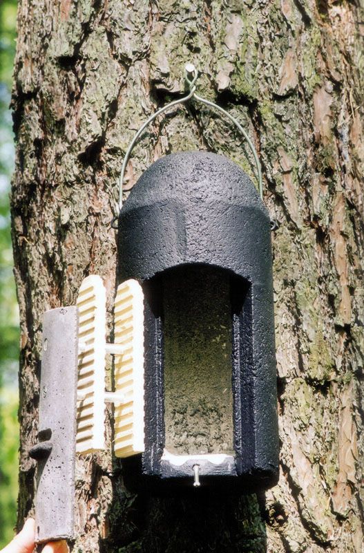 Naturschutzprodukt Satz 2 Stück - Fledermaushöhlen 1FD mit dreifacher Vorderwand Artenschutz