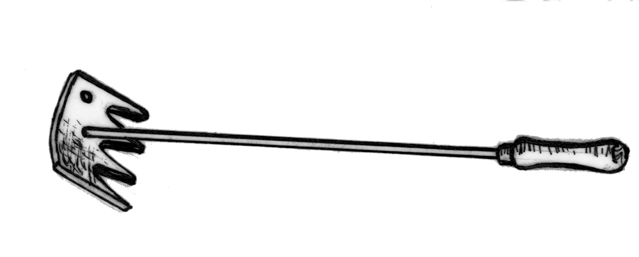 Reinigungsgerät für Vogelnisthöhlen – Holzgriff, verzinkter Stahlstab und drei Krallen, passend für 1B, 2M, 2H und 3SV, Länge 31 cm