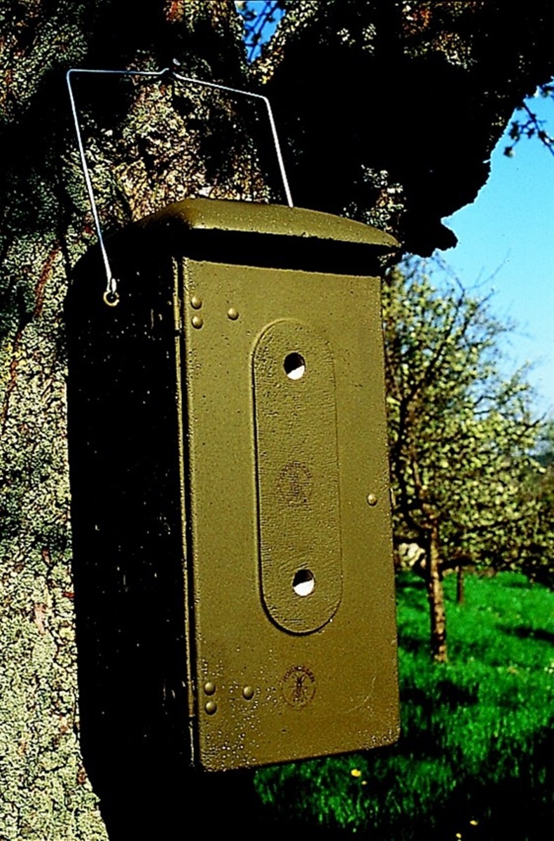 Naturschutzprodukt Hornissenkasten H 60 cm artgereicht aus atmungsaktivem Holzbeton