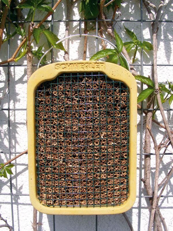 Naturschutzprodukt Insektennistschilf aus Holzbeton H 30 cm Insektenhotel Artenschutz Produkt